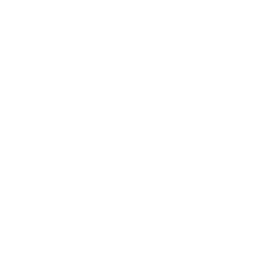 our vision